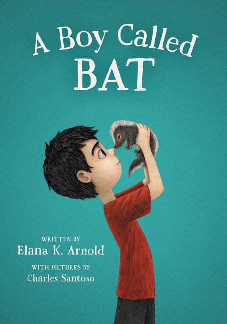 Book Cover: A boy Called Bat